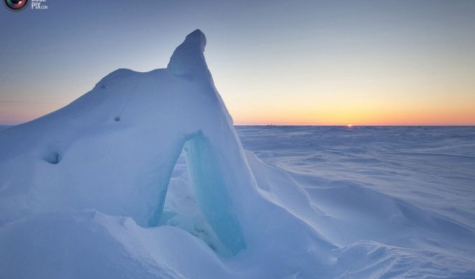 Приключения в Арктике (50 фото)