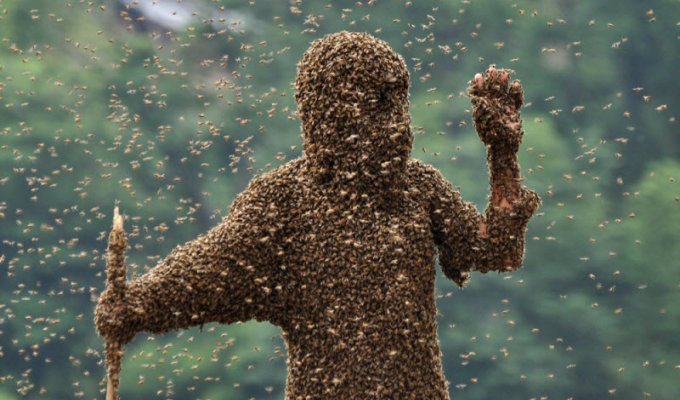 Костюм из 26 килограмм пчёл (6 фото)