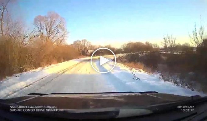 Охотинспектор из Мордовии встал посреди дороги, чтобы остановить автомобиль для досмотра