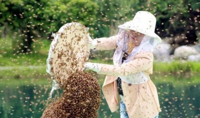 Китаец Жуань Лянмин установил мировой рекорд, приютив на себе 63 килограмма пчел (7 фото)