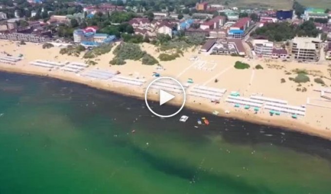 Туристы негодуют в Анапе Черное море превратилось в зеленое