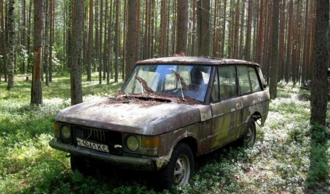 Range Rover на советских номерах в карельском лесу (2 фото)