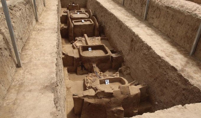Древние колесницы с запряженными конями раскопали в Китае (4 фото)