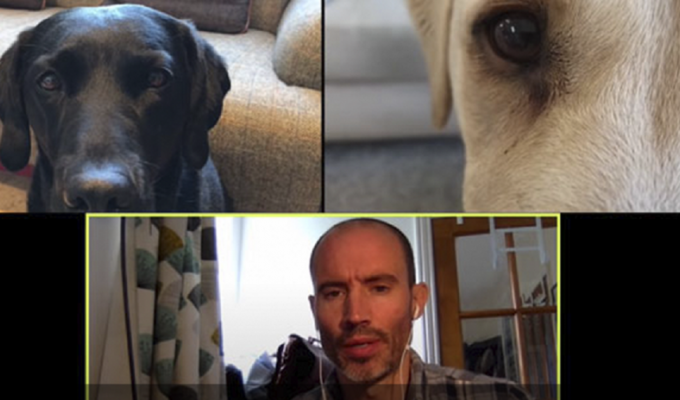 Спортивный комментатор провел видеочат со своими собаками - и стал звездой! (14 фото + 1 видео)
