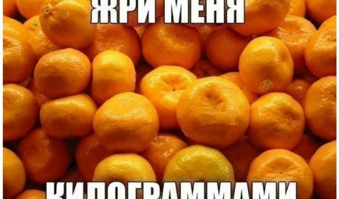 А любите ли вы мандарины так, как люблю их я? (21 фото)