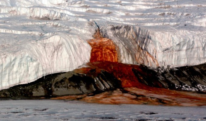 Ученые разгадали столетнюю загадку Кровавого водопада в Антарктиде (2 фото)