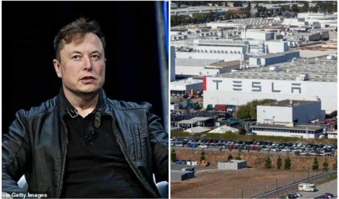 "Арестуйте меня": Илон Маск открыл завод Tesla вопреки запретам (11 фото)