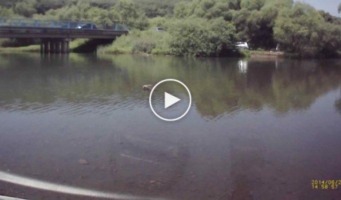 Под Уссурийском в реку упал микроавтобус