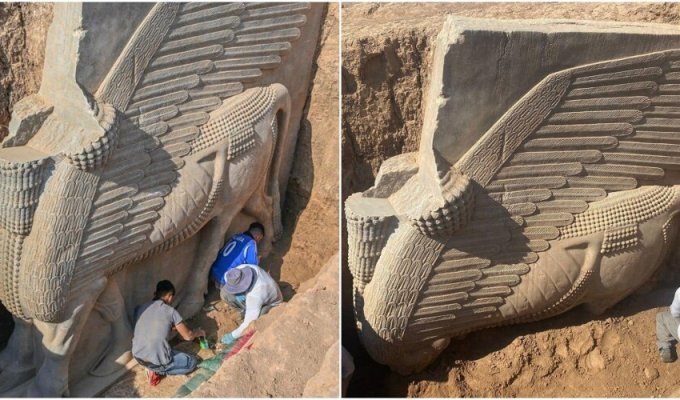 В Ираке раскапывают огромную статую божества (8 фото)