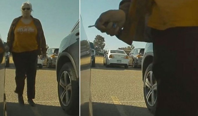 Напичканный камерами электромобиль Tesla зафиксировал, как женщина царапает кузов (1 фото + 2 видео)