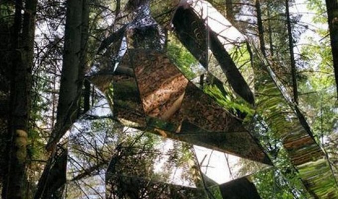  Зеркальная дыра в лесу (4 фото)