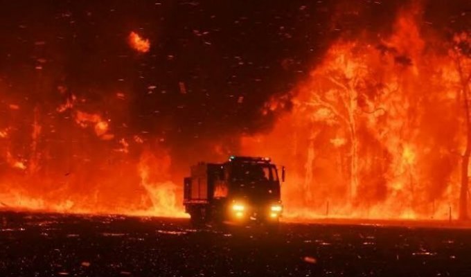 Ад на Земле: Австралия в огне (25 фото)