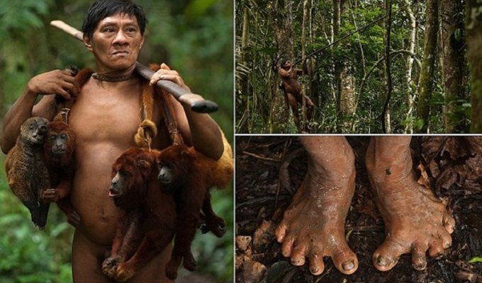 Это амазонское племя до сих пор живет в каменном веке! (17 фото)