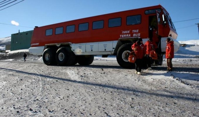 Суровый канадский автобус «Ivan» (7 фото)