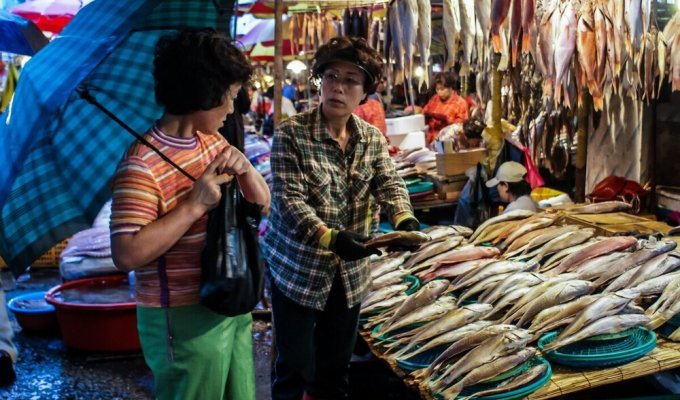 Почему в магазинах Южной Корее продается много сушёной рыбы (14 фото)