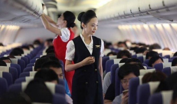 Китайским стюардессам велели надевать памперсы на время полета (3 фото)