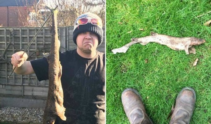 Житель Великобритании нашёл в своём дворе акулу, которая упала с неба (4 фото)