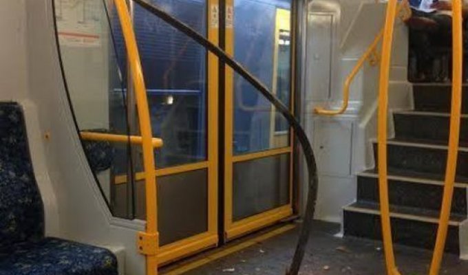 Инцидент в австралийском поезде (3 фото)