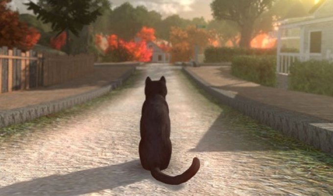 В сети появились кадры и видео из компьютерной игры про котов. Да, управлять нужно будет котами! (7 фото + 1 видео)