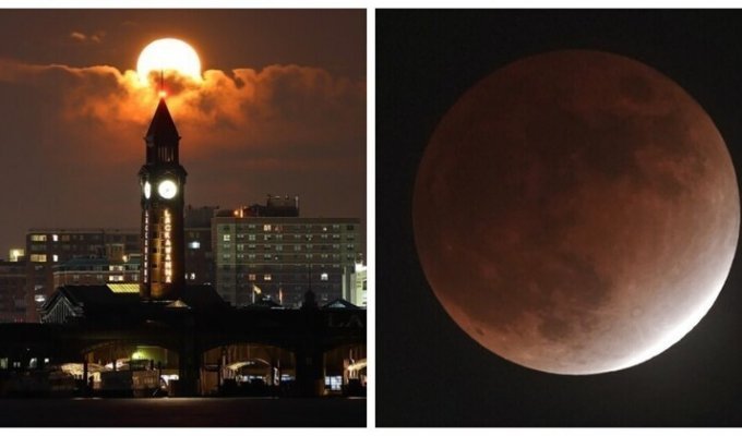 Каким увидели затмение луны 19 ноября в разных частях света (20 фото + 1 видео)