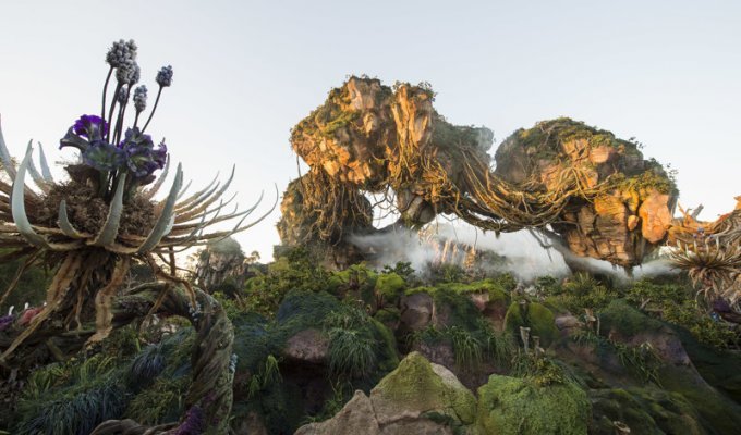 Тематический парк Pandora World of Avatar land в Disney World (25 фото + 1 видео)