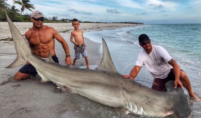 Американец поймал огромную акулу-молот. Но в центре внимания оказался далеко не улов! (8 фото + 1 видео)