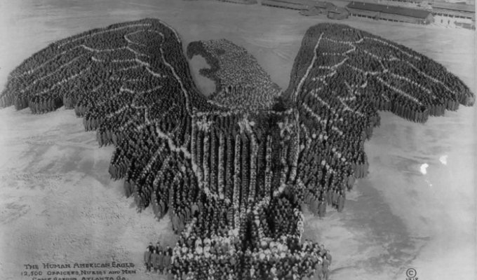 1917-1918 годы: Масштабные групповые патриотические фотографии Артура Мола (14 фото)
