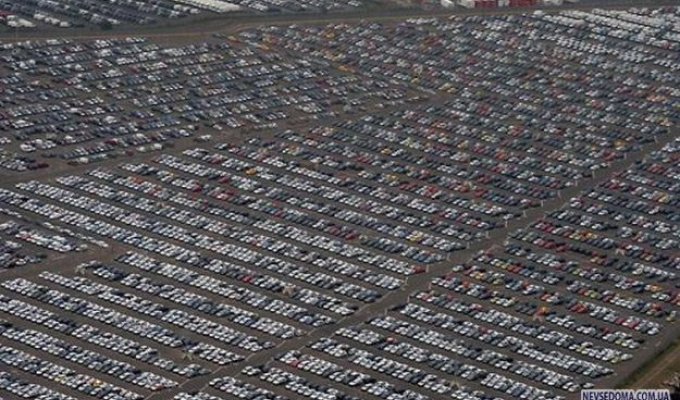 Непроданные авто во всем мире (13 фото)