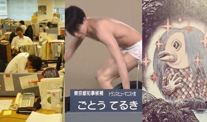 Факты о современной Японии (12 фото + 2 видео)