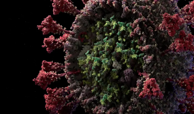 Рассмотрите коронавирус во всех подробностях! (1 фото + 2 видео)