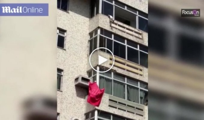 В Бразилии спасли собаку, которая выпала с 6-го этажа здания