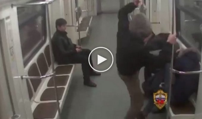 Московские полицейские задержали несовершеннолетних скинхедов, избивших в метро мигрантов