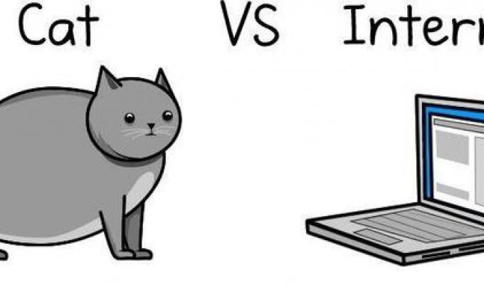 Кот против Интернета (20 фото)