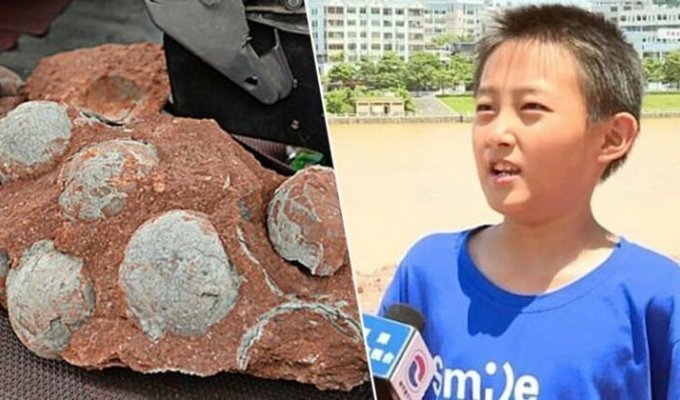 В Китае мальчик нашел яйца динозавра возрастом 66 миллионов лет (7 фото + 1 видео)