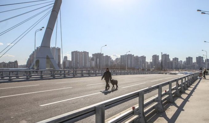 Разлад в Совете Героев Петербурга из-за моста Кадырова (2 фото)