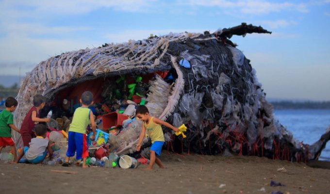 Мертвый кит на Филиппинах как символ ужасающего загрязнения Мирового океана (7 фото)