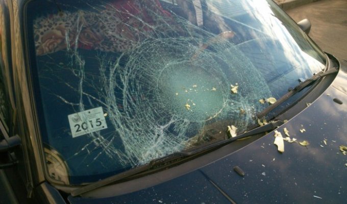 В Белоруссии на припаркованный автомобиль сбросили два кочана капусты (10 фото)