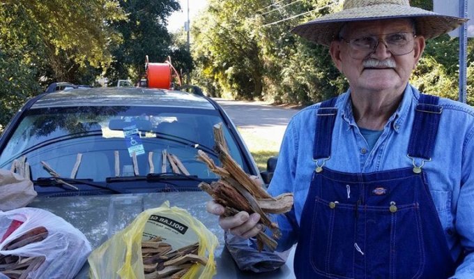 Эти фото пенсионера, продающего дрова, помогли ему собрать $80 тыс. всего за неделю (3 фото)