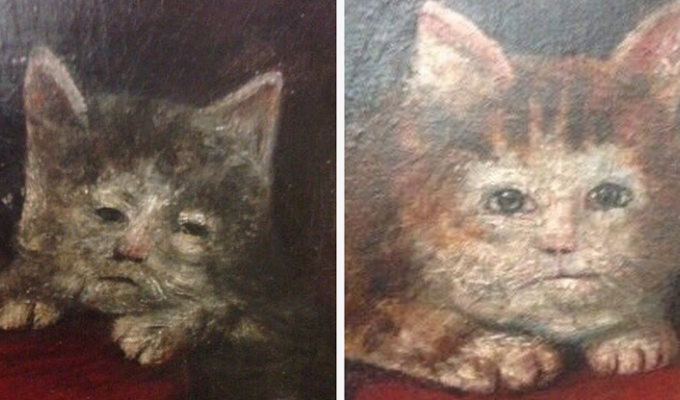 23 монструозных портрета средневековых котов (24 фото)