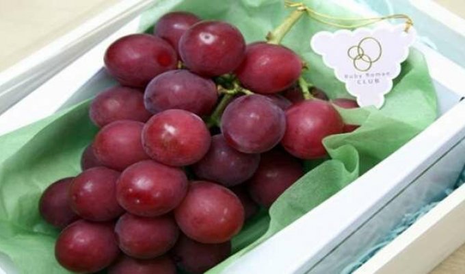 Самый дорогой в мире сорт винограда (2 фото)