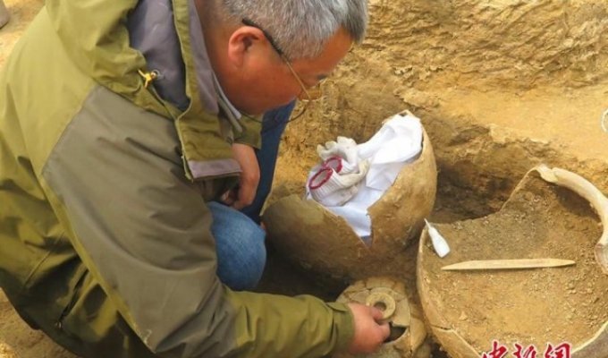 Китайские ученые нашли куриные яйца, которые были снесены 2500 лет назад (3 фото)