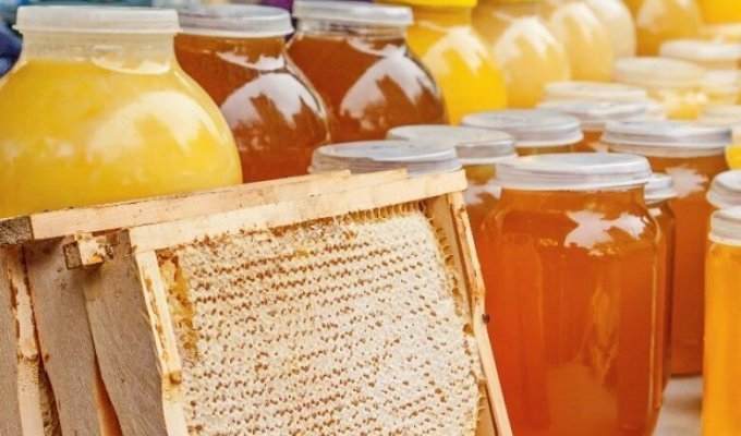 Почему мед может храниться вечно? (2 фото)