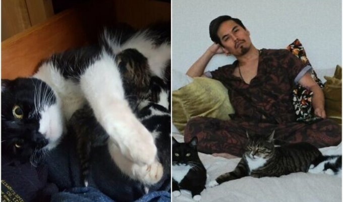 Парень обнаружил под кроватью кошку с котятами, а сейчас они - большая семья (7 фото)