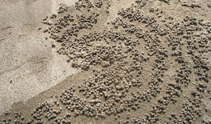 Необычные рисунки на песке (20 фото)