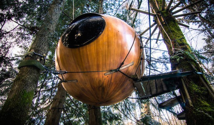 Этот канадский отель со сферическими домиками предлагает вам спать на деревьях (9 фото)