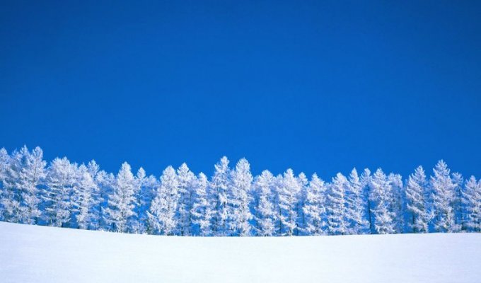  Красавица зима (40 фото)