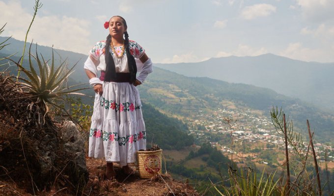 Коренные народы Мексики в ослепительных костюмах (14 фото)