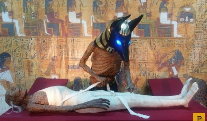 Необычные результаты исследования мумий (11 фото)