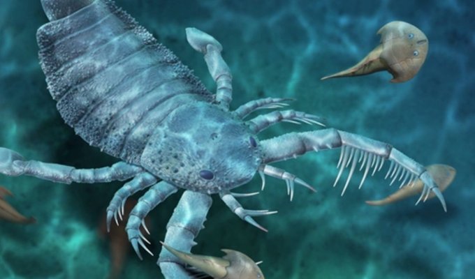 В Южно-Китайском море обнаружили морского скорпиона размером с собаку (3 фото)