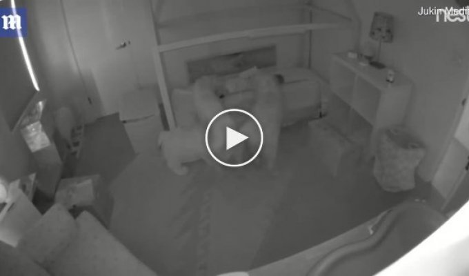 Камера помогла родителям понять причину ночных блужданий ребёнка по дому